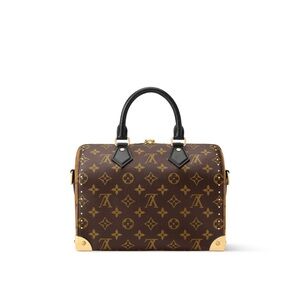 Louis Vuitton Speedy Trunk 25